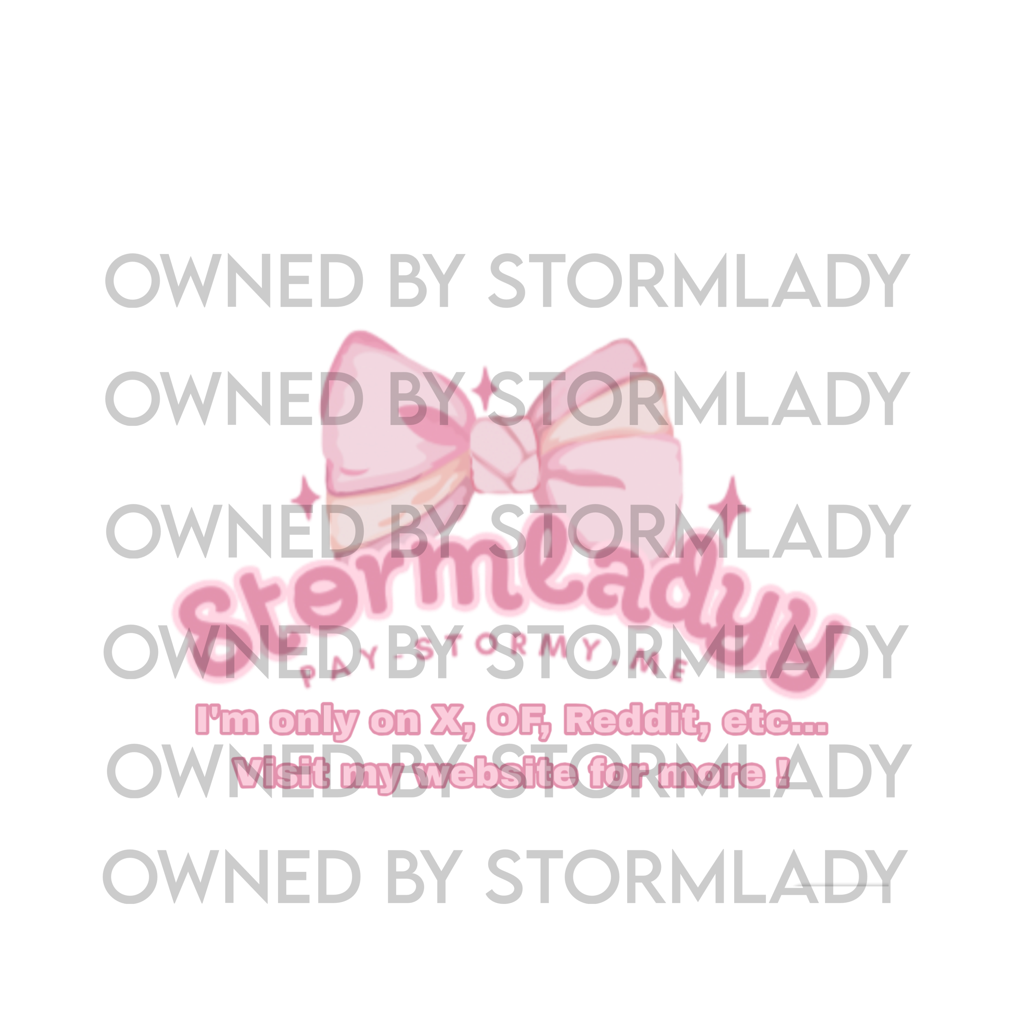 Official Stormyladyy Logo